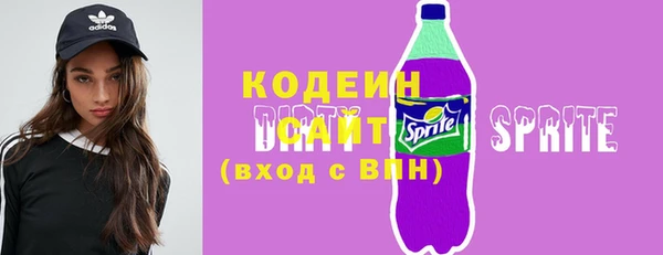 твердый Михайлов
