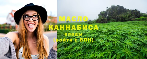 твердый Михайлов