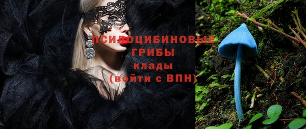 твердый Михайлов