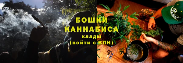 твердый Михайлов