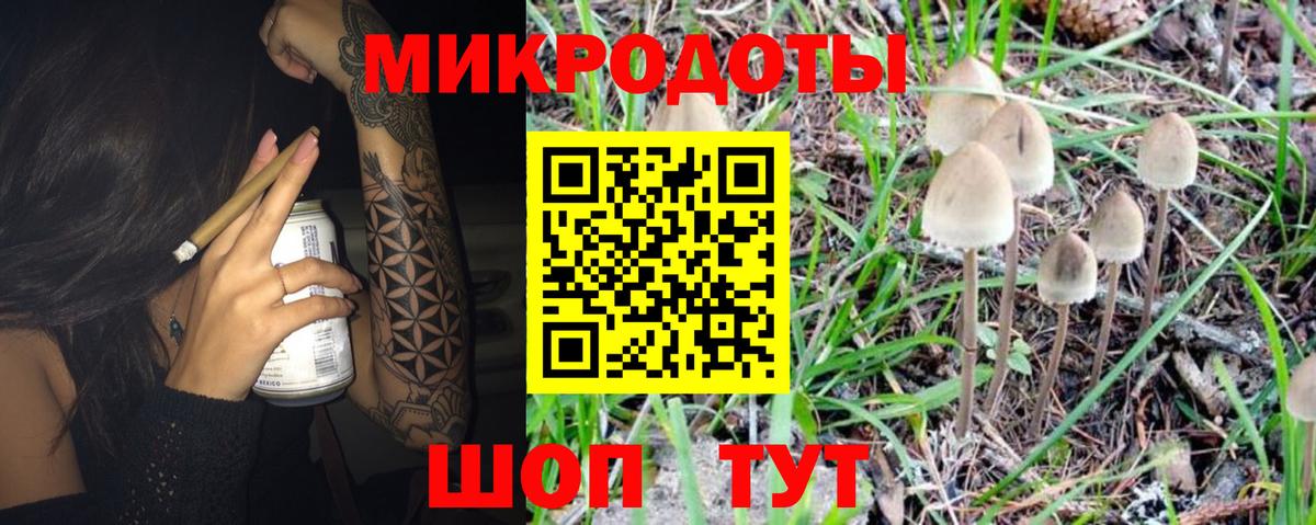 Псилоцибиновые грибы Psilocybine cubensis Гагарин