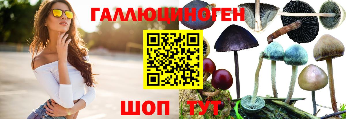 Гагарин  Галлюциногенные грибы Psilocybe  Псилоцибиновые грибы GOLDEN TEACHER  Вход с VPN 